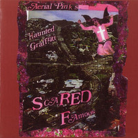 Ariel Pink's Haunted Graffiti, Scared Famous