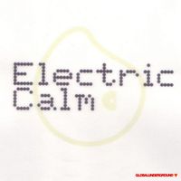 Electric Calm, Vol. 1