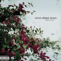 Never Shout Never, What Is Love