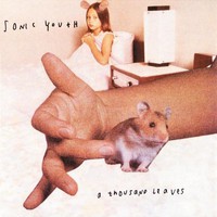 Sonic Youth, A Thousand Leaves