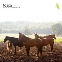 Tosca, Pony - No Hassle Versions