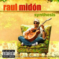 Raul Midon, Synthesis
