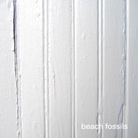 Beach Fossils, Beach Fossils