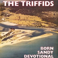 The Triffids, Born Sandy Devotional
