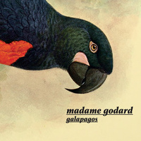 Madame Godard, Galapagos