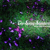 The Spring Standards, Would Things Be Different