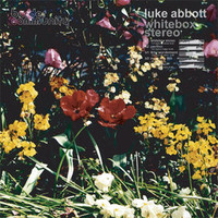 Luke Abbott, Whitebox Stereo