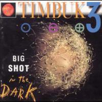 Timbuk 3, Big Shot in the Dark