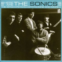 The Sonics, Here Are The Sonics