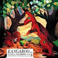 Kyle Andrews, Kangaroo