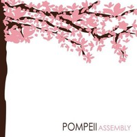 Pompeii, Assembly