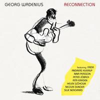 Georg Wadenius, Reconection