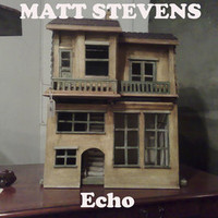 Matt Stevens, Echo