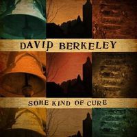 David Berkeley, Some Kind Of Cure