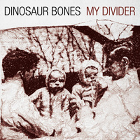 Dinosaur Bones, My Divider
