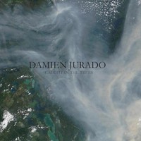 Damien Jurado, Caught in the Trees