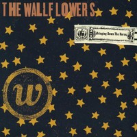 The Wallflowers, Bringing Down the Horse