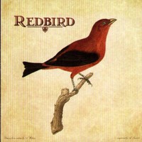 Redbird, Redbird