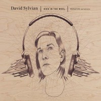 David Sylvian, Died In The Wool (Manafon Variations)