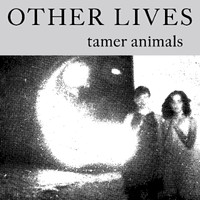 Other Lives, Tamer Animals