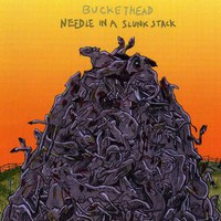Buckethead, Needle in a Slunk Stack
