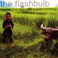 The Flashbulb, Resent and the April Sunshine Shed