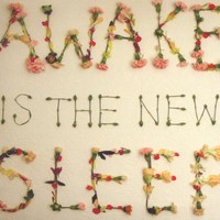Ben Lee, Awake Is the New Sleep