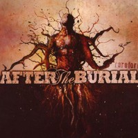 After the Burial, Rareform