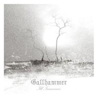 Gallhammer, Ill Innocence