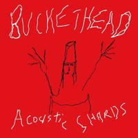 Buckethead, Acoustic Shards