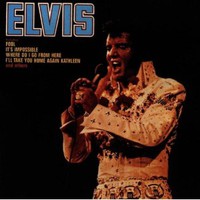 Elvis Presley, The Fool