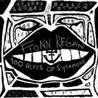 Fionn Regan, 100 Acres Of Sycamore