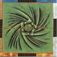 Dave Weckl Band, Synergy