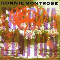 Ronnie Montrose, The Diva Station