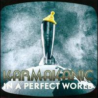 Karmakanic, In A Perfect World