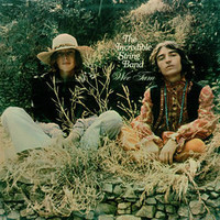 The Incredible String Band, Wee Tam