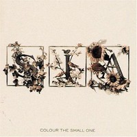 Sia, Colour the Small One