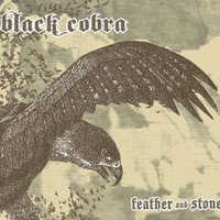 Black Cobra, Feather and Stone