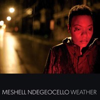 Me'Shell NdegeOcello, Weather