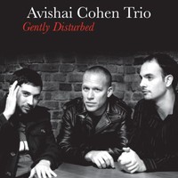 Avishai Cohen, Gently Disturbed