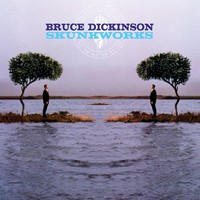 Bruce Dickinson, Skunkworks