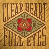 Craig Finn, Clear Heart Full Eyes