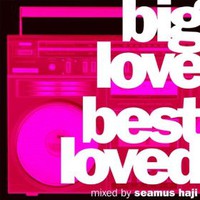 Seamus Haji, Big Love: Best Loved (mixed by Seamus Haji)