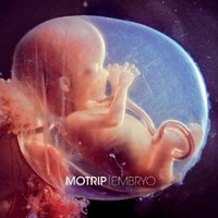 MoTrip, Embryo