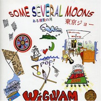 Wigwam, Some Several Moons