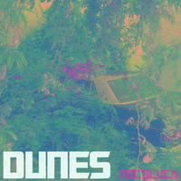 Dunes, Noctiluca