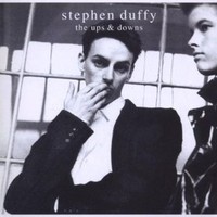 Stephen Duffy, The Ups and Downs