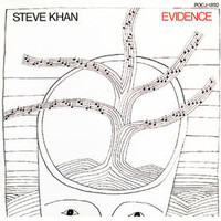 Steve Khan, Evidence