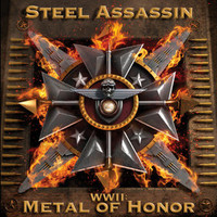 Steel Assassin, WWII: Metal Of Honor