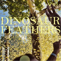 Dinosaur Feathers, Whistle Tips